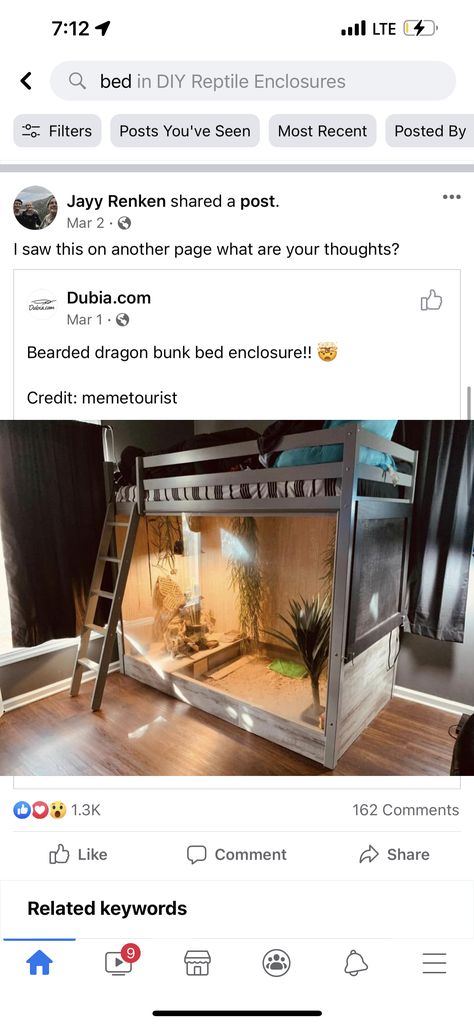 Bearded Dragon Home Ideas, Reptile Terrarium Furniture, Reptile Room Ideas Diy, Bearded Dragon Enclosure Ideas Dresser, Terrarium Stand Reptile, Built In Reptile Enclosure, Diy Iguana Enclosure Indoor, Themed Reptile Enclosure, Live Plant Reptile Terrarium