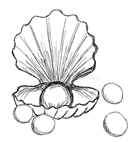 Simple Sea Shell Drawing, Cute Drawings Of Sea Animals, Shell Drawings Simple, Animal Sketchbook Ideas, Sea Creatures Sketch Drawings, How To Draw A Starfish Step By Step, Sea Animal Drawings Sketches, Sea Creatures To Draw, Drawing Of Sea Creatures