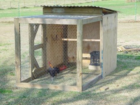 How To Build A  4 x 4 x 8 Brood Pen Reban Ayam, Chicken Pens, Decoration For House, Small Chicken Coops, Easy Chicken Coop, Chicken Raising, Chicken Barn, Portable Chicken Coop, Chicken Pen