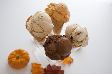 Must-Try Nostalgia Ice Cream Maker Recipes Ice Cream Decoration, Pumpkin Ice Cream Recipe, Chocolate Syrup Recipes, Cream Decoration, Dessert Pumpkin, Electric Ice Cream Maker, Sunshine On A Cloudy Day, Old Fashioned Ice Cream, Oreo Biscuits