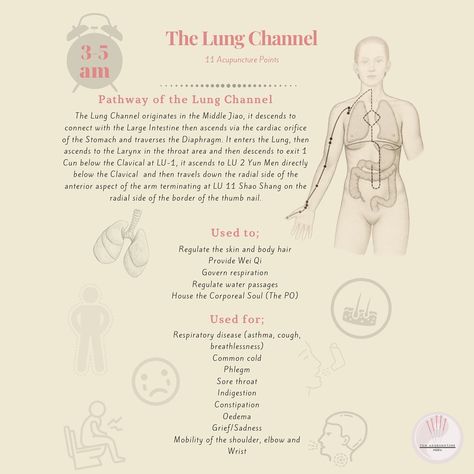 Lung Meridian Pressure Points, Meridian Channels, Lung Meridian, Accupuncture Points, Chakra Energy, Acupuncture Points, Qi Gong, Large Intestine, Pressure Points