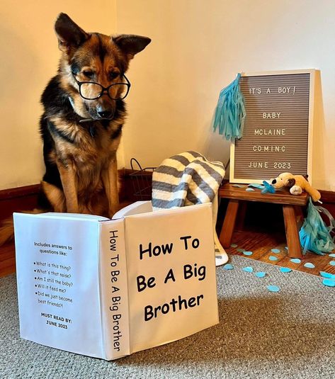 How To Be A Big Brother, How To Be A Big Brother Announcement, Second Baby Announcement, Bump Photoshoot, Second Baby Announcements, Baby 2 Announcement, Baby Bump Photoshoot, Big Brother Announcement, Announcement Photoshoot