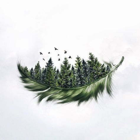 Trees, Birds, Green, Art