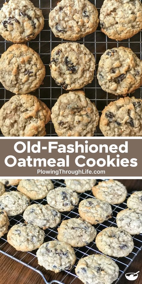 Homemade Oatmeal Raisin Cookies Recipe, Famous Oatmeal Cookies, Grandma's Oatmeal Raisin Cookies, Honey Oatmeal Raisin Cookies, Old Fashion Oatmeal Raisin Cookies, Oatmeal Raisin Nut Cookies, Oatmeal Raisin Cranberry Cookies, Crumbl Cookie Copycat Oatmeal Raisin, Crispy Oatmeal Cookies Recipes