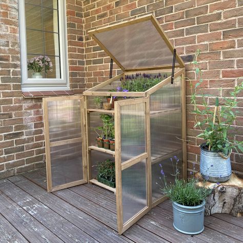 Wooden Greenhouse, Cold Frame Greenhouse, Desert Gardening, Folding Workbench, Outdoor Greenhouse, Veg Patch, Greenhouse Ideas, Garden Inspo, Wooden Greenhouses