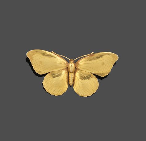 Golden Butterfly, All That Glitters Is Gold, Gold Aesthetic, Stay Gold, Insect Jewelry, Aesthetic Movement, Theme Color, An Aesthetic, Yellow Aesthetic