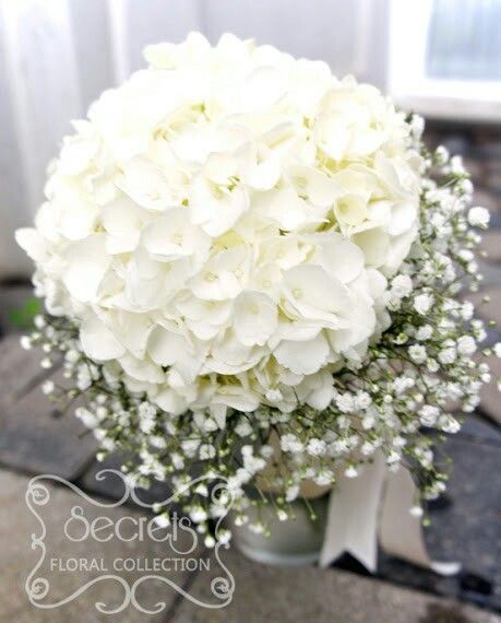 Girls bouquets White Carnation Bouquet, Gypsophila Wedding Bouquet, Wedding Bouquets White, Cream Hydrangea, Gypsophila Wedding, Hydrangea Bouquet Wedding, Hydrangea Bouquet, Bouquet Toss, White Wedding Bouquets