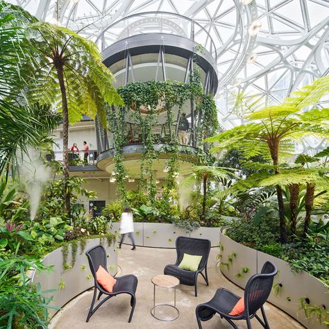 Amazon Spheres, Seattle, WA — JANUS et Cie Amazon Spheres, Concrete Floor Leveling, Interior Concrete Floors, Janus Et Cie, Calming Spaces, Luxury Outdoor Furniture, Poltrona Frau, Biophilic Design, Lounge Seating