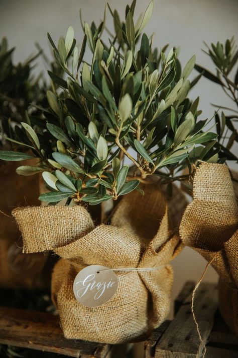 Olive Decoration Wedding, Stage Decoration Ideas, Recuerdos Primera Comunion Ideas, Olive Plant, 50th Wedding Anniversary Party, Gift Crates, Garden Labels, Tree Centerpieces, Flower Box Gift