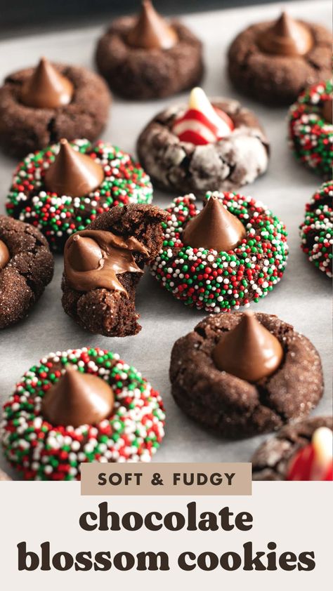 These chocolate blossom cookies are an easy twist on classic peanut butter blossoms but for chocolate lovers! They're soft and fudgy chocolate cookies with Hershey's kisses pressed into the middle. They're the easiest holiday cookies you'll make. #holidaycookies #blossomcookies #cookies | teakandthyme.com Chocolate Peanut Butter Blossoms, Peanut Butter Cookies With Chocolate Kisses, Christmas Blossom Cookies, Blossom Cookie Recipes, Blossom Cookies Christmas, Chocolate Blossom Cookies, Chocolate Blossoms, Soft Chocolate Cookies, Peanut Butter Blossoms Recipe