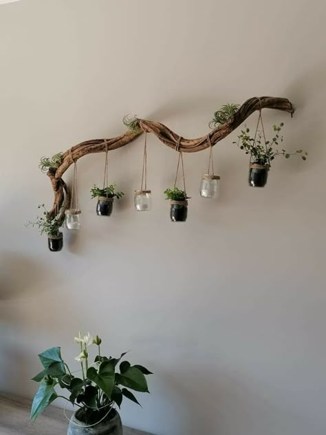 A modern industrial look with copper pipes used as hangers. Wall Hanging Decorations, Plant Display Ideas, Hanging Plants Diy, Indoor Plant Wall, Hanging Plant Wall, Plants Wall, Plant Decor Indoor, Driftwood Crafts, Branch Decor