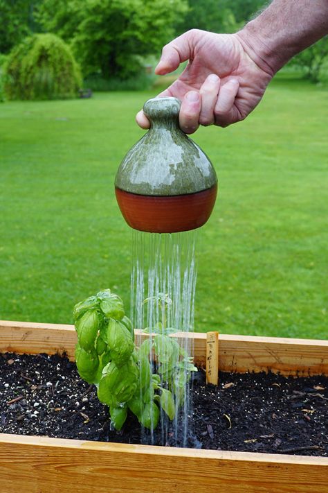 This terracotta watering vessel releases water from its base like a gentle rain shower when your thumb is removed from the top opening. Great for seedlings. Clay Vessels, Plant Watering Can, Traditional Vases, Ceramics Pottery Mugs, Woodworking Shows, Traditional Pottery, Garden Pottery, Functional Pottery, Garden Show