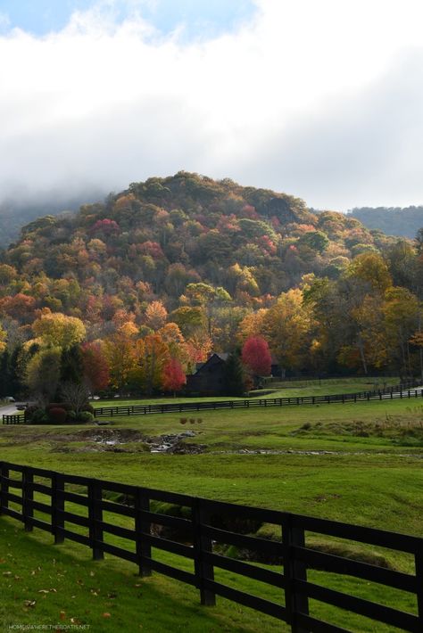 North Carolina Scenery, House In North Carolina, Rural North Carolina, North Carolina Farmhouse, Fall North Carolina, North Carolina Countryside, South Carolina Mountains, Houses In North Carolina, Raleigh North Carolina Aesthetic