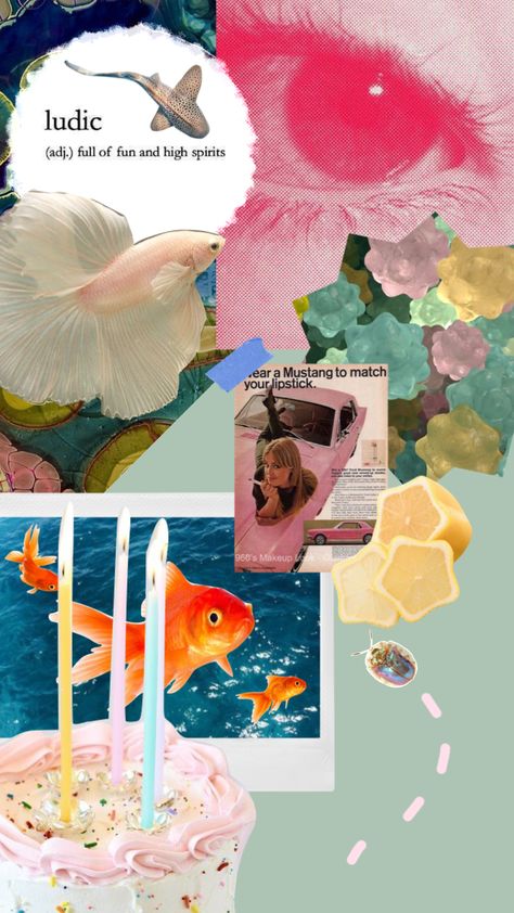 🫧🐡 #moodboard #fish #colors Fish Mood Board, Fish Moodboard, Fish Fashion, Color Outfits, Fashion Mood Board, Mood Board Fashion, Betta Fish, Koi Fish, Goldfish