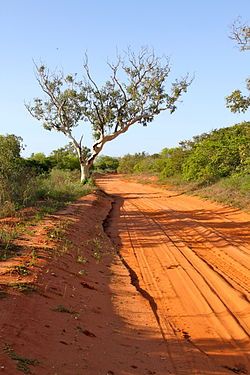 Pindan - Wikipedia Kimberly Australia, Australian Colours, Gibb River Road, Wilderness Camping, Outback Australia, Family Camping Trip, Lake Wall Art, Beautiful Nature Scenes, Nature Scenes