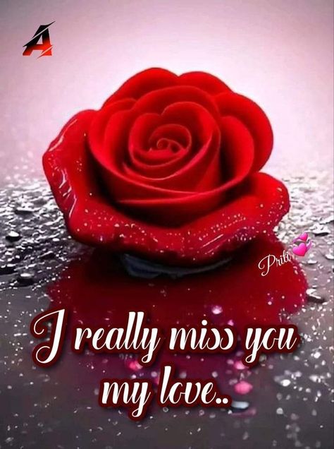 Miss You Images Cute, Good Morning Rose Images, Miss U My Love, Miss You Images, I Miss You Wallpaper, Love You Quotes, Good Night I Love You, Sweetheart Quotes, Love Texts For Him