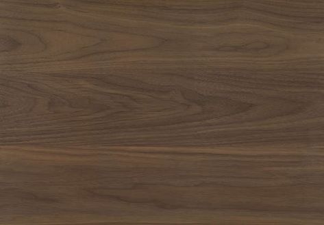 Walnut Veneer Texture, Dream Home Office, Walnut Wood Texture, Veneer Texture, Office Space Decor, Texture Stone, Interiors Online, Wall Finishes, High Walls