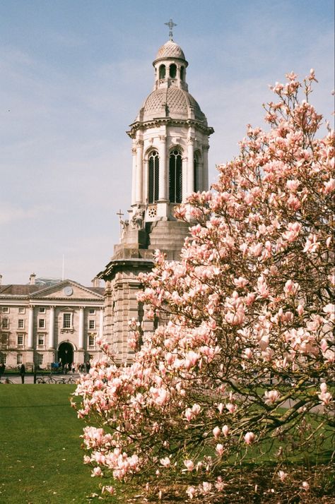 Trinity College Dublin Dorm, Trinity College Dublin Aesthetic, Masters Abroad, Trinity Dublin, Dublin Aesthetic, Ireland 2023, Summer Posters, Irish Goodbye, Irish Jig