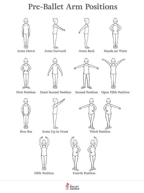 Pre-Ballet Arm Positions Ballet Arm Positions, Ballet Hands, Ballet Terminology, Teaching Ballet, Ballet Terms, Ballet Basics, Ballet Tips, Beginner Ballet, Ballet Stretches