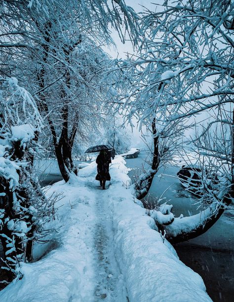 Top Places In Kashmir To Experience Snow Fall Fresh Snowfall, Snow Activities, Snow Fall, True Winter, Frozen Lake, Winter Getaway, Winter Scenery, Spring Nature, Scenic Beauty