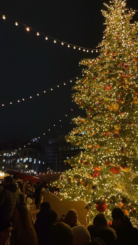 Zürich Bellevue #zurich #christmasmarkets #weihnachtsmarkt #bellevue #christmas Winter And Christmas Aesthetic, Christmas Snaps, Christmas Germany, Europe Christmas, Christmas Outdoors, Xmas Market, Weihnachten Aesthetic, Germany Christmas, Christmas Atmosphere