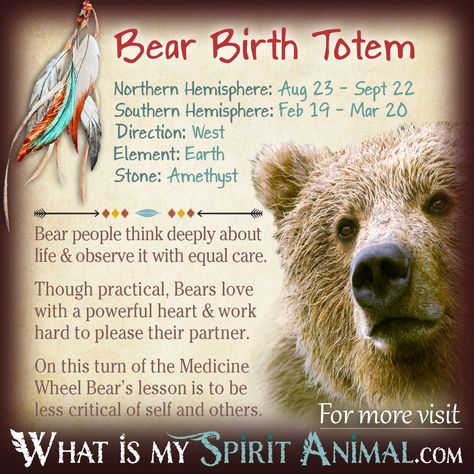 Is Bear your Birth Totem? Read the in-depth description in my Native American Zodiac & Astrology series! Learn Bear's personality, compatibility, & more! Birth Totem, Native American Astrology, Animal Totem Spirit Guides, Native American Zodiac, Bear Totem, Native American Totem, Native American Spirituality, Spirit Animal Totem, Animal Zodiac