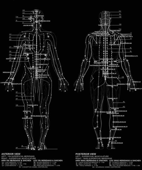 Jing Luo in Chinese medicine Picture Of Body, Meridian Acupuncture, Meridian Lines, Pressure Point Therapy, Chiropractic Clinic, Acupuncture Points, Pressure Points, Yoga For Men, Chinese Medicine