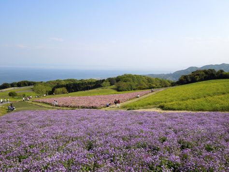 Awaji Island Japan, Awaji Island, Japanese Countryside, Japan Summer, Acnh Inspo, Travel Japan, Japan Trip, Suspension Bridge, Historical Landmarks