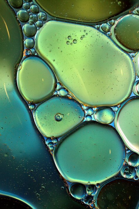 Oil And Water, Water Bubbles, Natural Forms, Patterns In Nature, Color Textures, The Shape, Green And Blue, Zbrush, Macro Photography