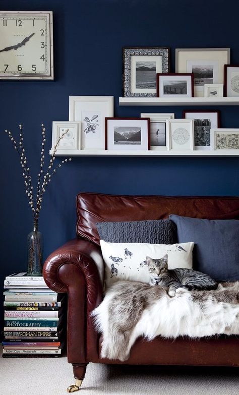 rich brown leather sofa in front of a navy accent wall Brown Leather Couch, Leather Couch, A Living Room, Blue Walls, Brown Leather, Couch, Sofa, Living Room, Navy