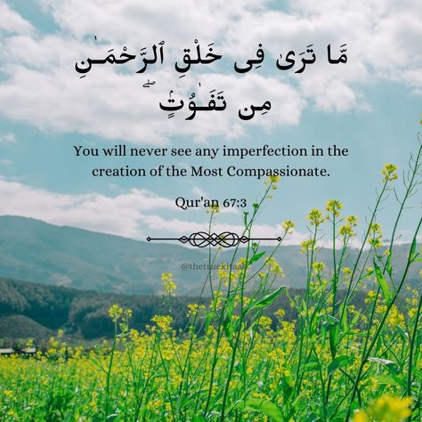 Quran Sayings, Quotes Allah, Quran Quotes, Quran, Im Not Perfect, Photo And Video, Instagram Photos, Instagram Photo, Quotes