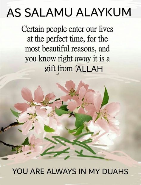 Assalaamu Alaikum Islamic Quotes, Islamic Morning Greetings, Islamic Greetings Salam, Salaam Alaikum Good Morning, As Salaam Alaikum Images, Ramadan Vibe, Jumma Kareem, Good Human Being Quotes, Islamic Greetings