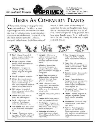 Herb Companion Planting Chart - Herbal gardens | PDF Herb Companion Planting, Planting Chart, Companion Planting Chart, Herbs List, Flower Garden Plans, Bucket Gardening, Companion Plants, Garden Vegetables, Garden Help