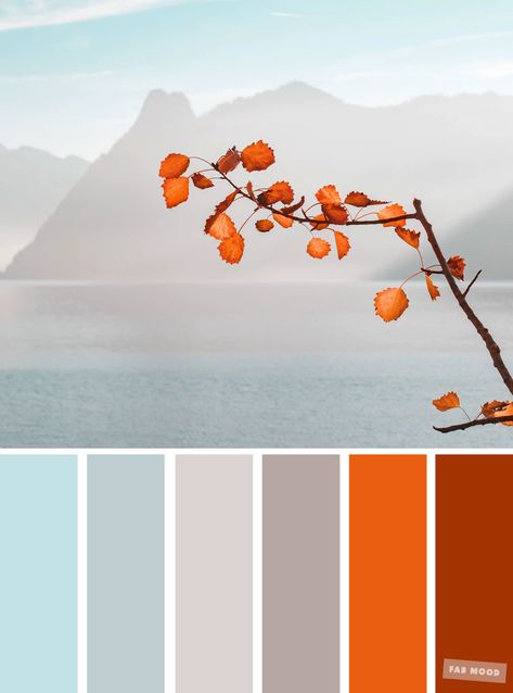 Burnt orange light blue and grey color palette #colors #autumn #autumncolour Colors With Orange, Blue And Orange Colour Scheme, Colour Schemes With Grey, Blue Orange Grey Color Palette, Burnt Orange And Light Blue Wedding, Orange And Grey Color Palette, Colours That Go With Orange, Orange And Light Blue, Orange And Grey Living Room