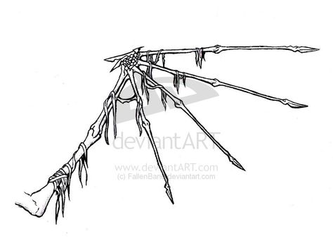 Wing Bones Drawing, Wing Bones Tattoo, Bird Wing Bones, Bone Wings Drawing, Bone Wings Tattoo, Skeletal Wings, Wing Skeleton, Bone Wings, Wing Bones