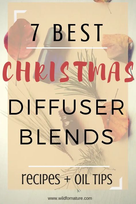 Best Winter Essential Oil Blends for Diffuser – Wild for Nature Christmas Diffuser Blends Young Living, Essential Oil Christmas Blend, Oil Blends For Diffuser, Winter Essential Oil Blends, Essential Oil Blends For Diffuser, Christmas Diffuser Recipes, Christmas Tree Essential Oil, Essential Oil Combos, Diffuser Blends Young Living