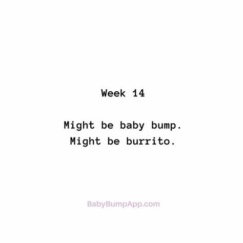 Pregnancy Funny Quotes, Expecting Mom Quotes, First Pregnancy Quotes, Mom Quotes Funny, Pregnancy Quotes Funny, Lamaze Classes, Pregnancy Milestones, Pumping Moms, Pregnancy Quotes