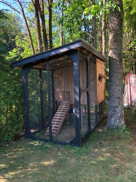 Chicken Coop Front Yard, Suburban Chicken Coop, 2 Chicken Coop, Chicken Coop Ideas Black, Mid Century Chicken Coop, Chicken Coop Modern, Modern Chicken Coop Design, Black Chicken Coop Ideas, Goth Chicken Coop