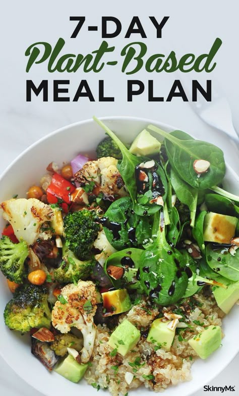 7 Day Plant Based Meal Plan, Flexitarian Lunch Ideas, Healthy Plant Based Dinner Recipes, Keto Plant Based Recipes, Plant Base Diet For Beginners Grocery Lists Easy Recipes, Organic Plant Based Recipes, Plant Focused Meals, Whole Plant Based Recipes, Plant Breakfast