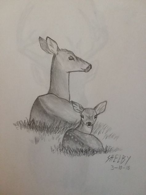 Doe and fawn sketch 2018 Doe Drawings, Drawings Of Deer, How To Draw A Fawn, Animal Drawings Simple, Doe Deer Drawing, Deer Drawing Simple, Easy Deer Drawing, Deer Drawing Reference, Simple Deer Drawing