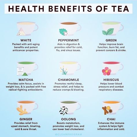 List Of Teas And Their Benefits, Tea Throughout The Day, Herbal Tea For Health, Best Tea For Womens Health, Teas And Their Benefits, List Of Teas, Health Benefits Of Tea, Peppermint Tea Benefits, Tea Blends Recipes