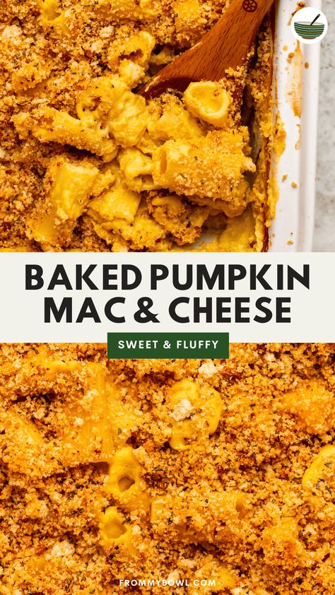 This Vegan Pumpkin Mac and Cheese Bake is the ultimate fall comfort food. Cozy pasta baked with a simple cashew cream sauce that's filled with cheesy flavor and tons of fresh pumpkin. Gluten-free & Oil-Free options. Dairy Free Pumpkin Mac And Cheese, Pumpkin Mac N Cheese, Vegan Pumpkin Mac And Cheese, Vegan Pumpkin Pasta, Cozy Pasta, Cheesy Broccoli Rice Casserole, Vegan Stuffed Shells, Cashew Cream Sauce, Paleo Dinners