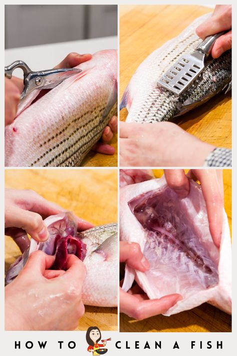 Steps for cleaning a whole fish. If you bought an ungutted and unscaled fish from the store, this is what you need to do to prepare the fish for cooking. #fish How To Cook A Whole Fish, How To Clean A Fish, How To Clean Fish, How To Get Fishy Taste Out Of Fish, Removing Skin From Salmon, Easiest Fish To Take Care Of, How To Prepare Fish For Sushi, Health Benefits Of Fish Oil, Sole Fish