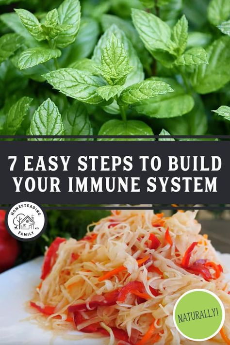 Learn how to boost your immune system naturally with these seven simple tips. Easy, natural remedies that will strengthen your body fast without needing to take vitamins. Safe for kids and adults and will set you up with a strong body for cold and flu season. Build Your Immune System, Homesteading Inspiration, Herb Magic, Homesteading Hacks, Severe Cough Remedies, Take Vitamins, Homesteading Family, Homesteading Life, Homemade Cough Remedies