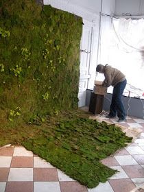 Serenity in the Garden: REINDEER MOSS - Fun and Artful Moss Installation, Moss Room, Cheap Backdrop, Reindeer Moss, Sustainable Decor, Decor Studio, Moss Art, Moss Wall, Plant Wall