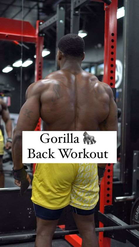 Gorilla Back Workout 🦍💥 🔻 Save For Later 🔻 Follow this routine IN ORDER and watch how fast you’re able to grow one of the biggest, thickest, and best backs there is. Cable Rope Pulldowns 4 x 15 T-Bar Rows 4 x 12 Single Arm Lat Pulldowns 3 x 15 Rack Pulls (personal favorite) 3 x 15 Superset: Underhand Lat Pull Underhand Seated Row 3 x 15 Let’s kick this weekend off right 🏆 #backday #muscles #backtraining #workout #exercise #weightlifting | MackMuscle Fit | DJ GLK · MTG MALDIÇÃO ETERNA Lat Pulldown Exercises, Single Arm Lat Pull Down, Lat Pulldown Variations, Lat Pull Down Machine Back Workouts, Gorilla Gym, Lat Pulldowns, Lat Pulldown Machine, Seated Row, T Bar Row