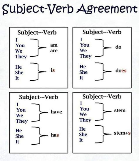 Subject Verb Agreement Activities, Subject Verb Agreement Rules, English Language Learning Activities, Simple English Sentences, English Grammar Exercises, Helping Verbs, English Grammar Rules, Grammar Quiz, Subject Verb Agreement