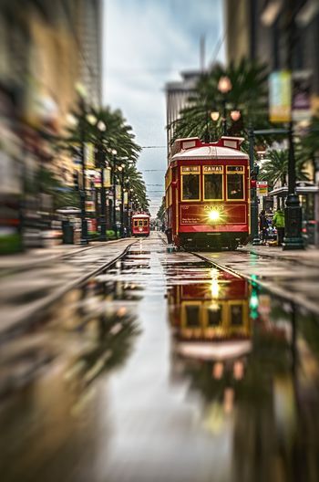 Canal street reflections New Orleans Activities, French Quarter Art, New Orleans Vacation, New Orleans Art, New Orleans French Quarter, Summer Storm, New Orleans Travel, Garden District, New Orleans Louisiana