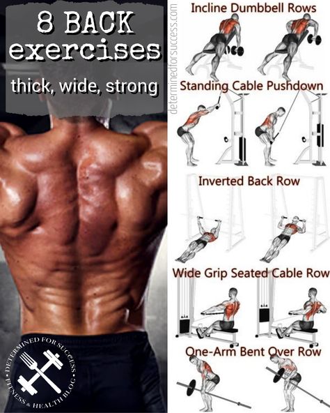 Do you want a wide, thick and strong back? Then here we have just the exercises and workouts for you. For most major muscle groups, it takes a lot to really make your back stand out. A lot more than pull ups and high-rep dumbbell rows. Recovery Day Workout, Weightless Workout, Complete Ab Workout, Full Back Workout, Back Workout Men, Pull Day Workout, Back Workout At Home, Fitness Guide, Strong Back