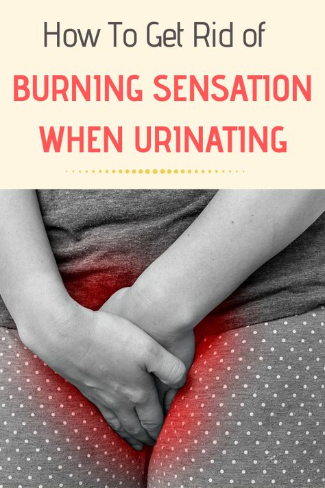 Burning While Urine, Burning Sensation In Urine, Urine Infection Remedies Woman, Frequent Urination Remedies, Urine Infection Remedies, Summer Health, Frequent Urination, Healthy Diet Tips, Oral Health Care